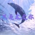 雨一直下 (DJ版)封面