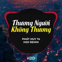 Thương Người Không Thương (Remix)