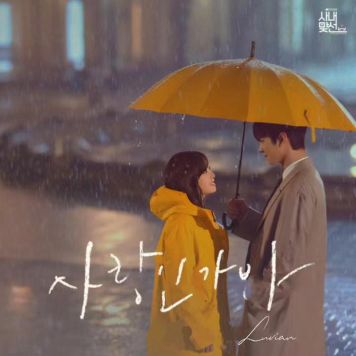 사랑인가봐_Luvian_社内相亲 OST Part.5 (사내맞선 OST Part.5) | 在线播放_사랑인가봐歌词_사랑인가봐下载 | 网易云音乐