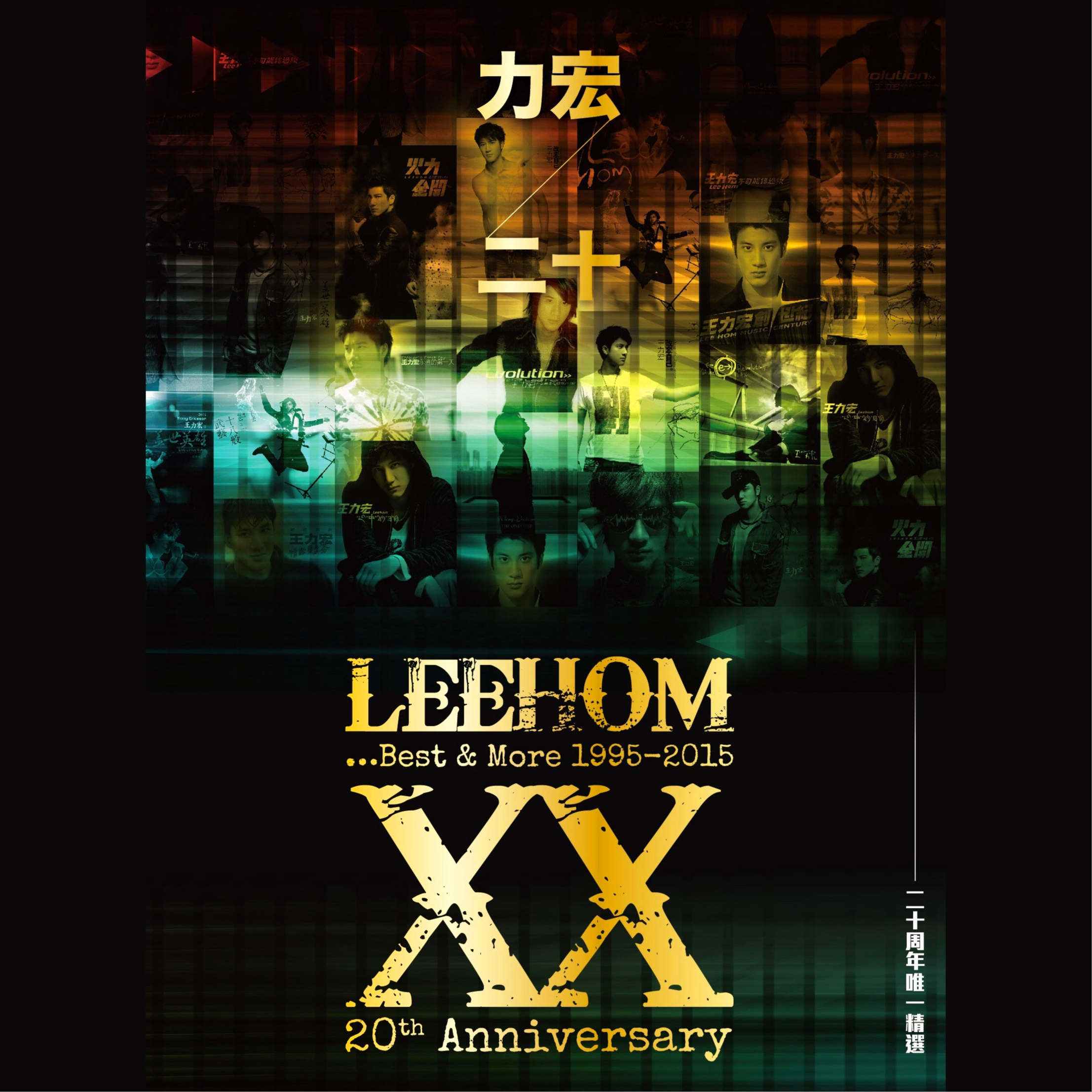 落叶归根 banner