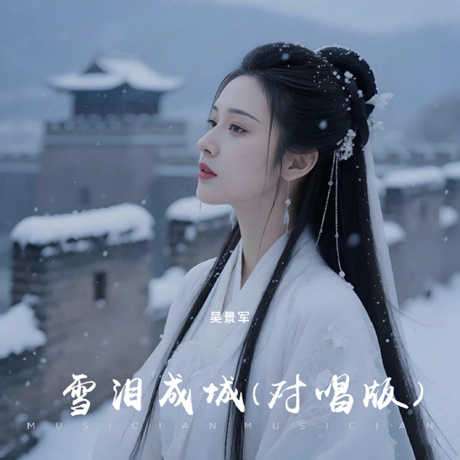 雪泪成城(对唱版)封面