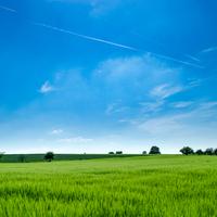 Música para Niños - Hojas en El Viento