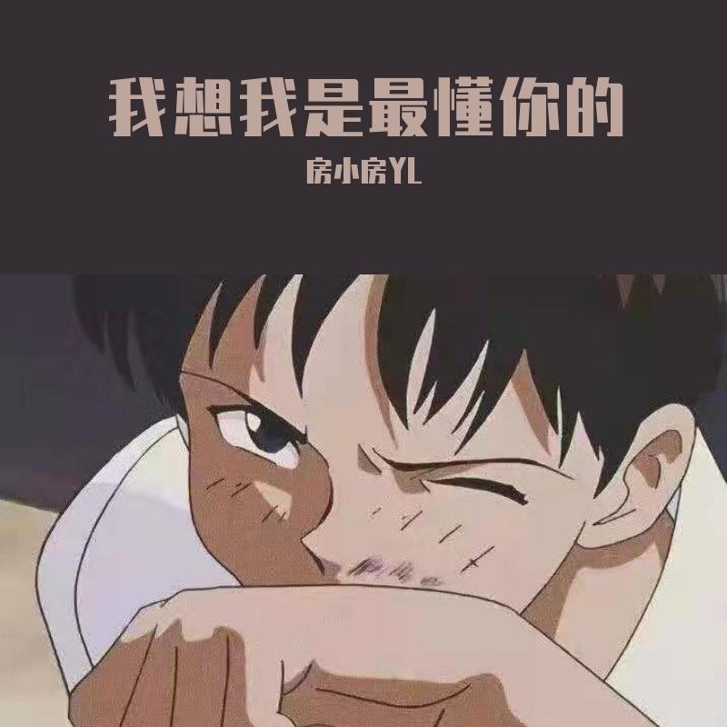 月亮睡了封面