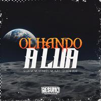 Olhando a Lua