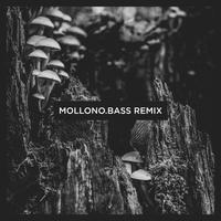 The Orb (Mollono.Bass Remix Short)