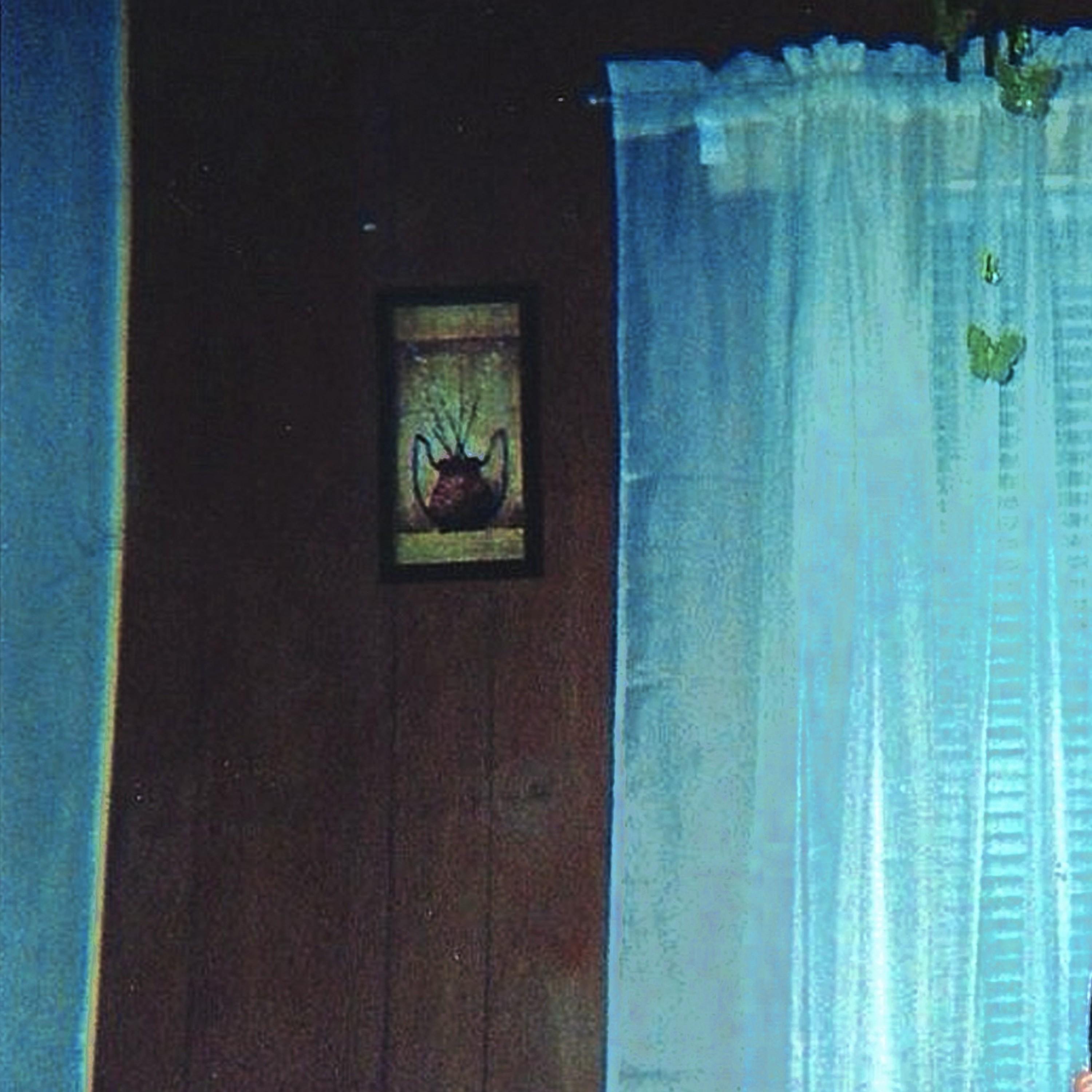 Targeted individual, by the way it doesn't hurt