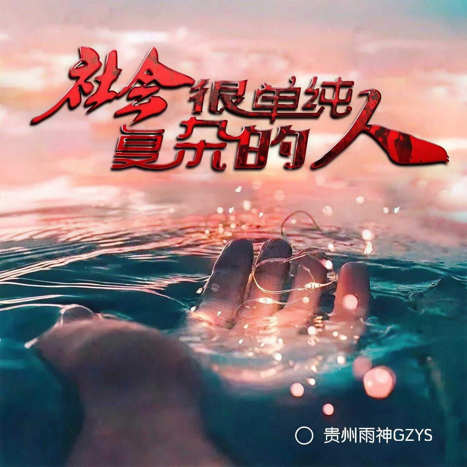 社会很单纯复杂的是人（伴奏）封面