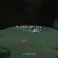 50 Ambient Summer Rain Recordings