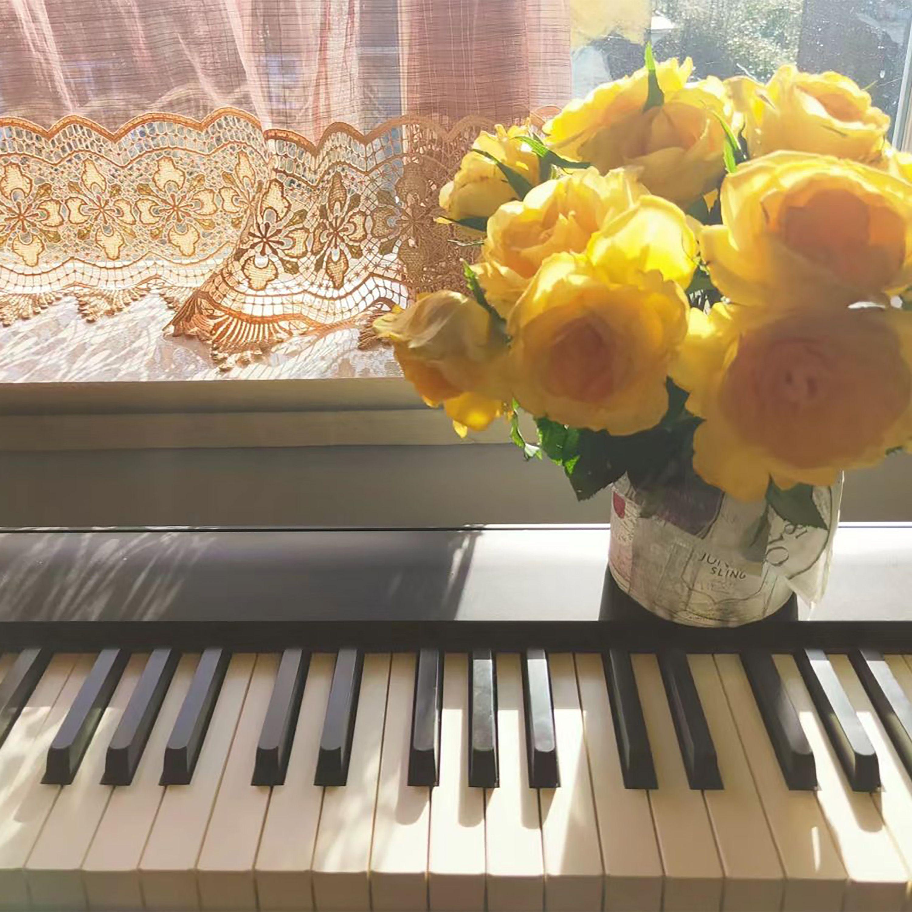 舒伯特摇篮曲（沉浸无损钢琴版）