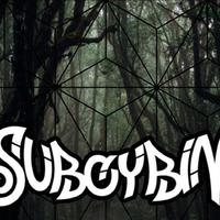 SUBCYBIN