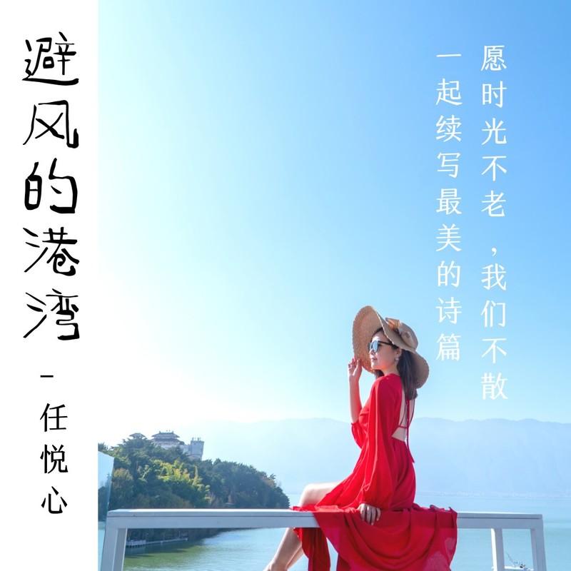 避风的港湾封面
