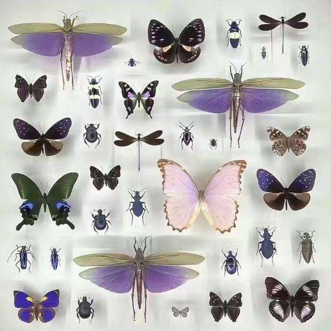 你能感受到我的心吗