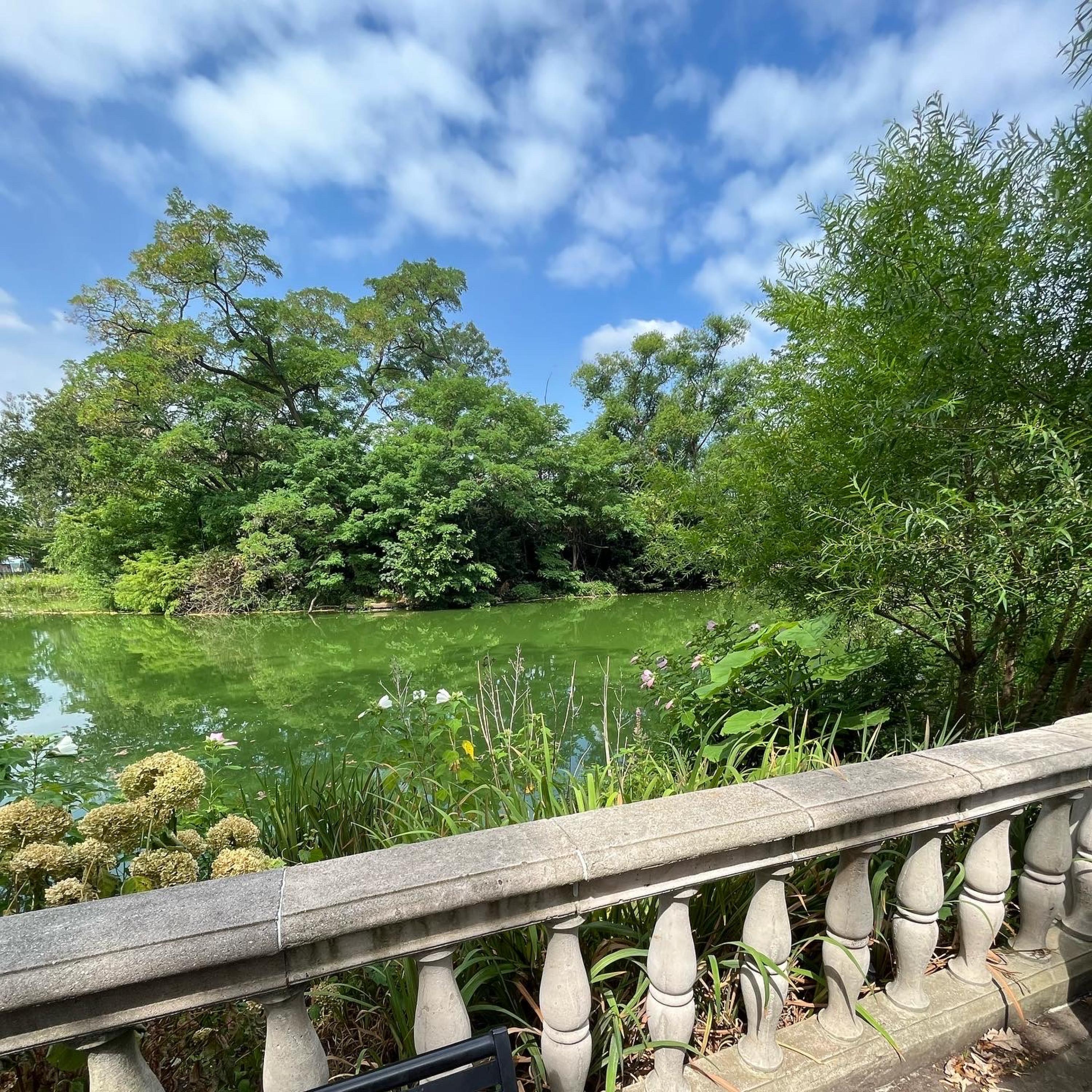 jugg freestyle (daesworld)