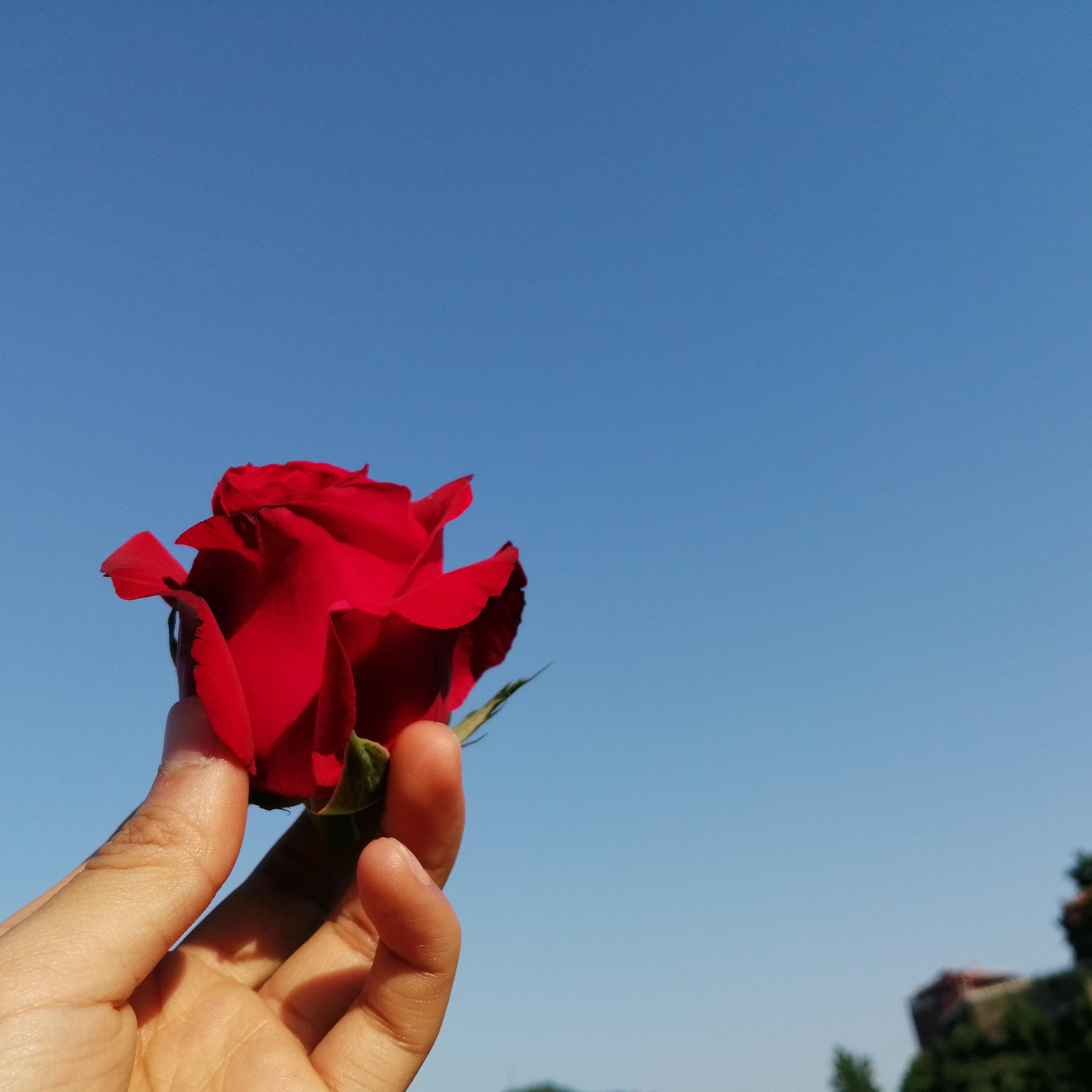 个人浪漫主义（prod by 邓森）