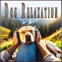 Dog Relaxation: Calm Nature Music for Dog Sleep and Smiles