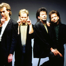 Cutting Crew