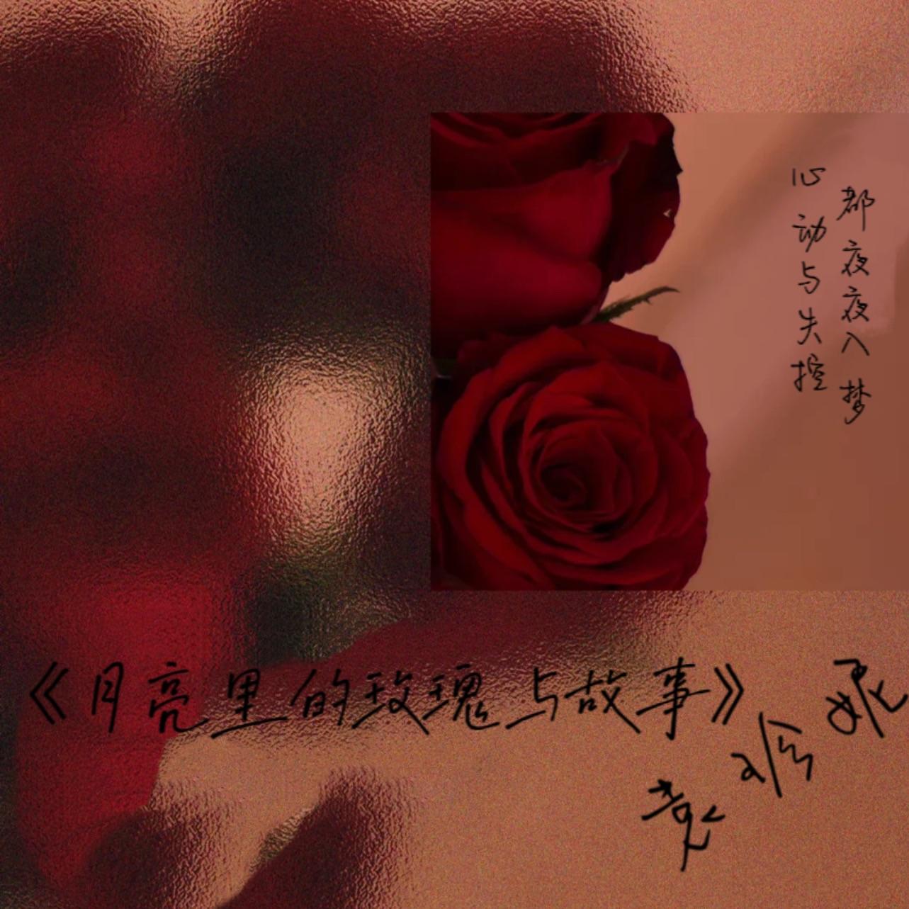 月亮里的玫瑰与故事封面