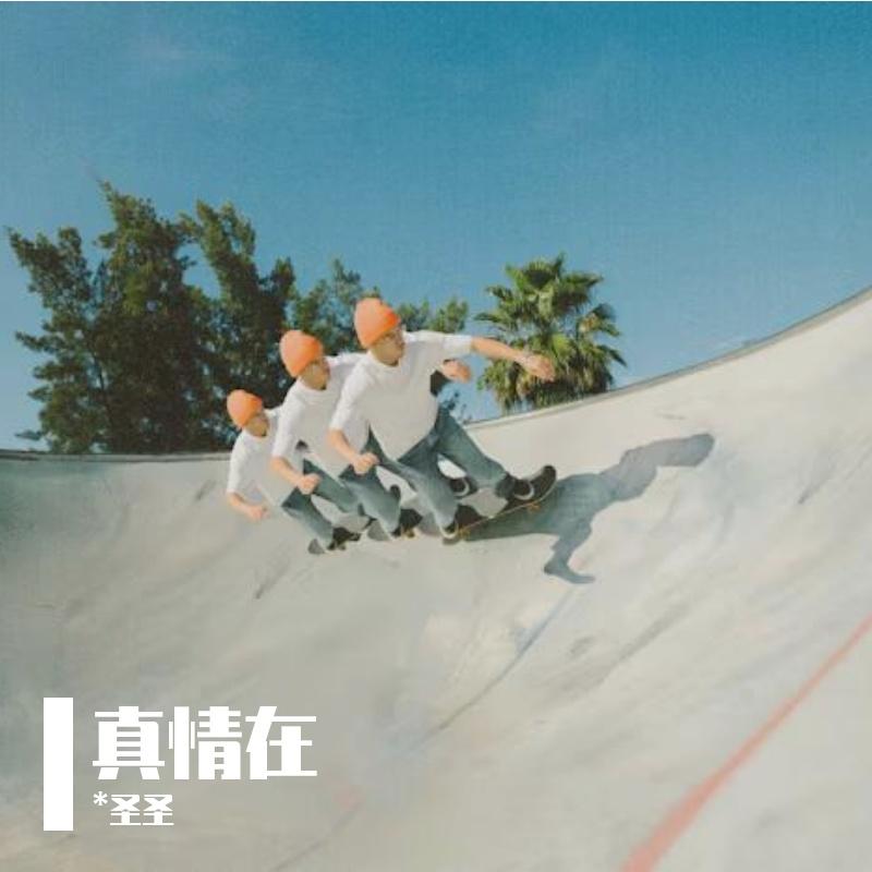 春风中风铃的轻快之舞 - 圣圣封面