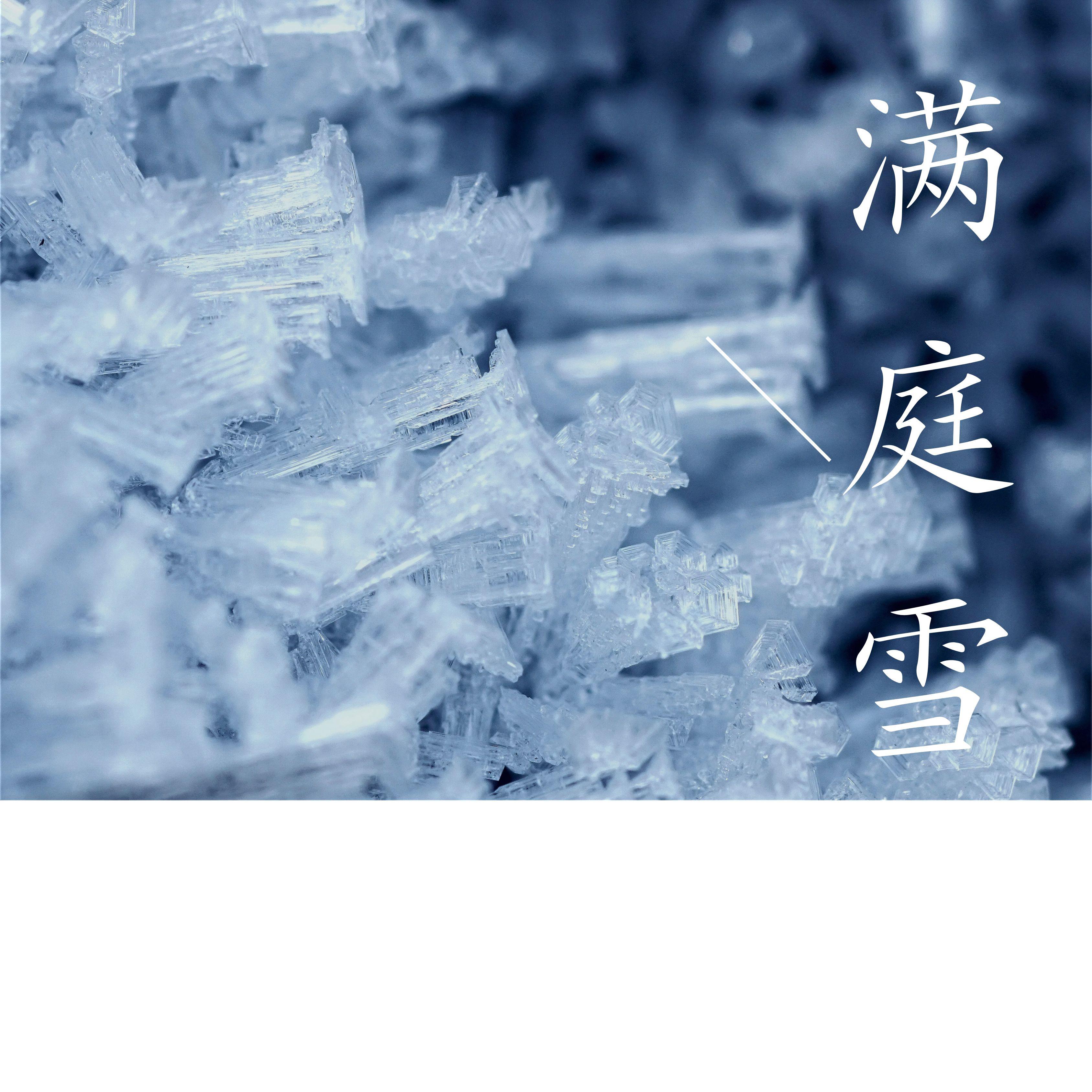 空诺 (二胡)封面