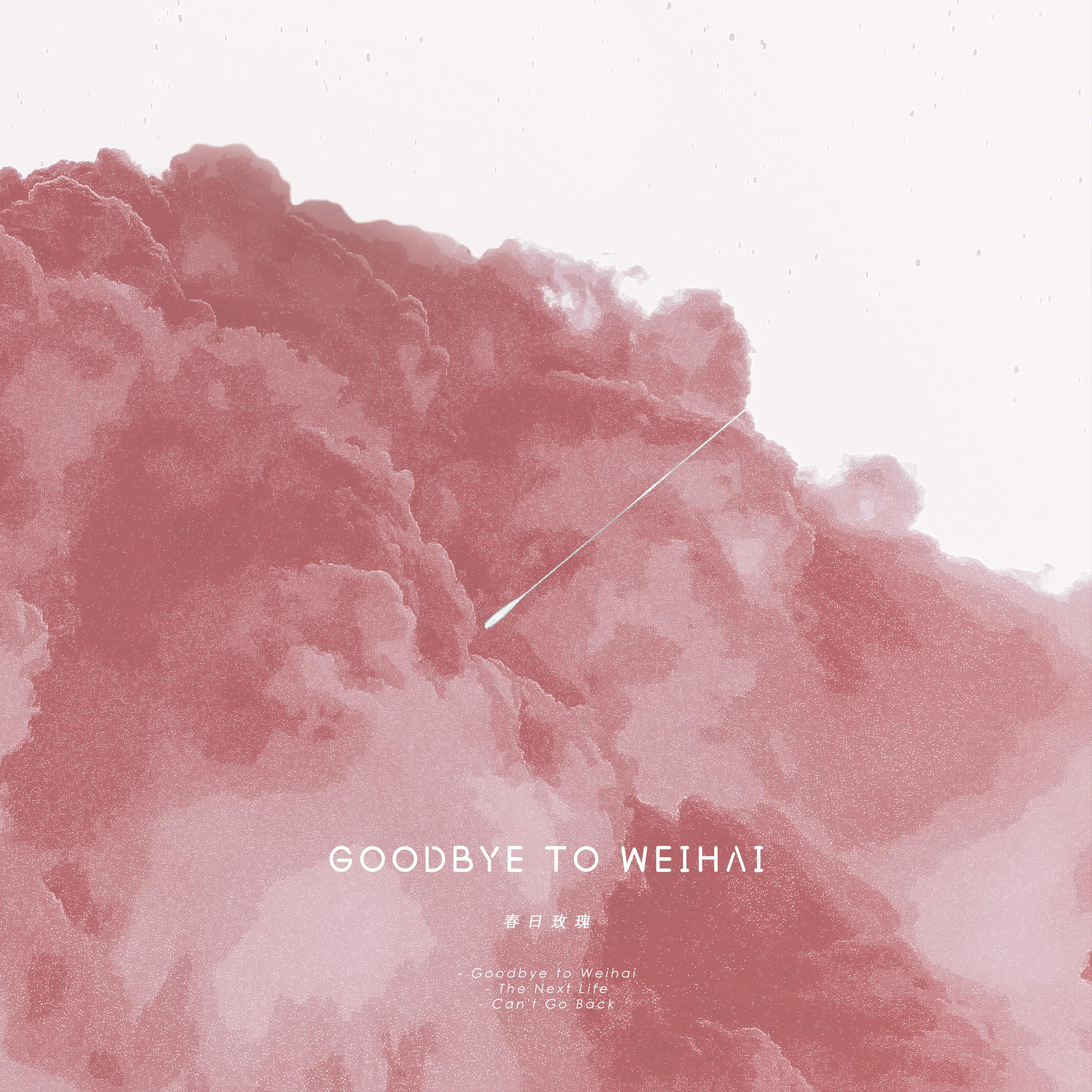 我们会变成一颗颗星星(The Next Life)_春日玫瑰(Spring Roses)_Goodbye to Weihai | 在线播放_我们会变成一颗颗星星(The Next Life)歌词_我们会变成一颗颗星星(The Next Life)下载 | 网易云音乐