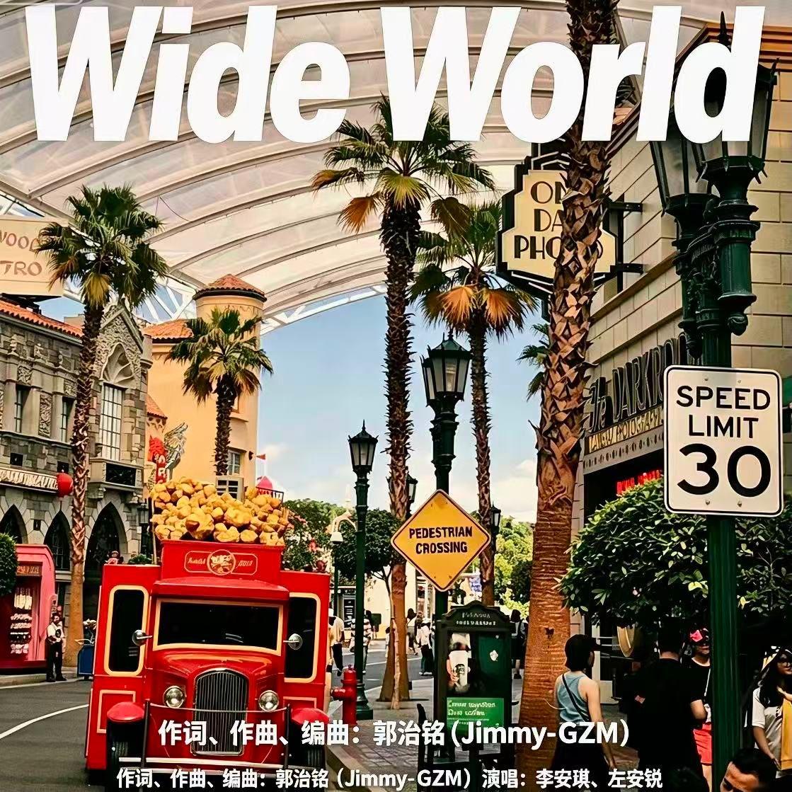 Wide World封面