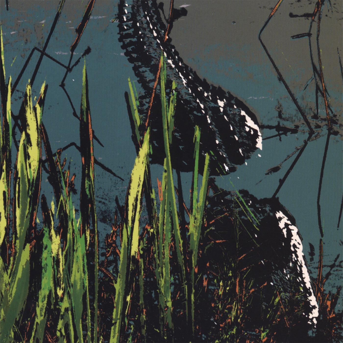 Queen of the Rioting