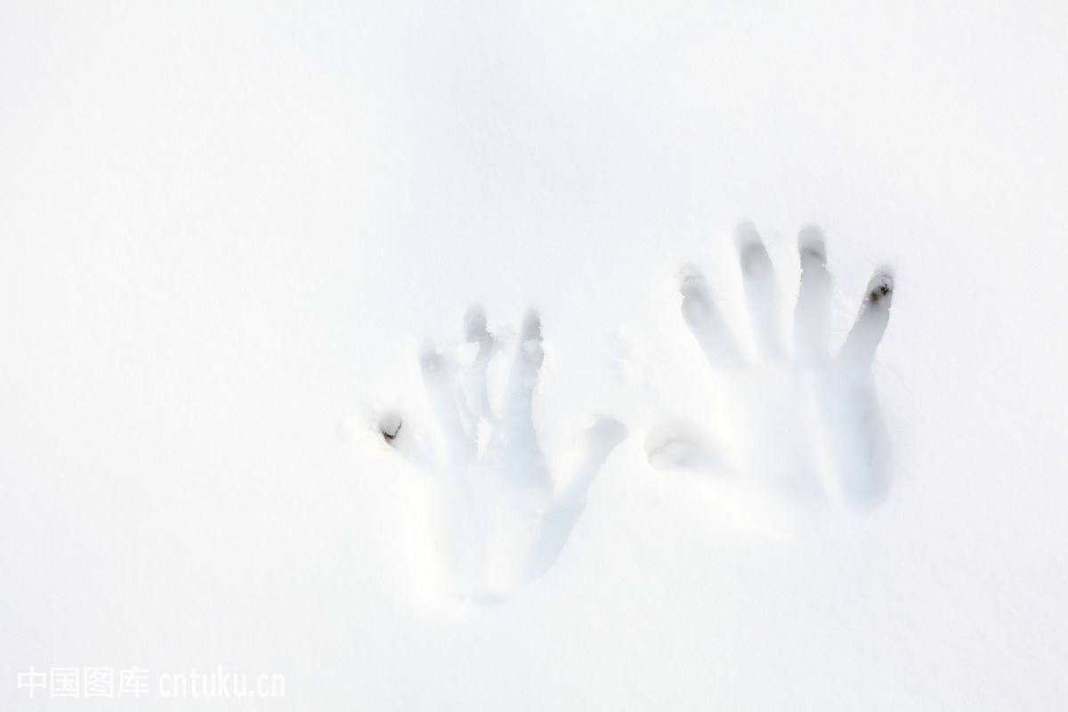 下雪了封面