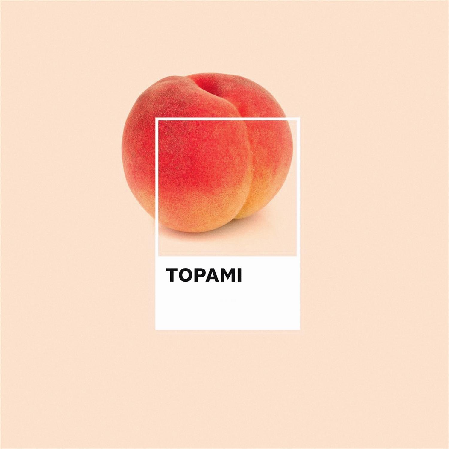 TOPAMI