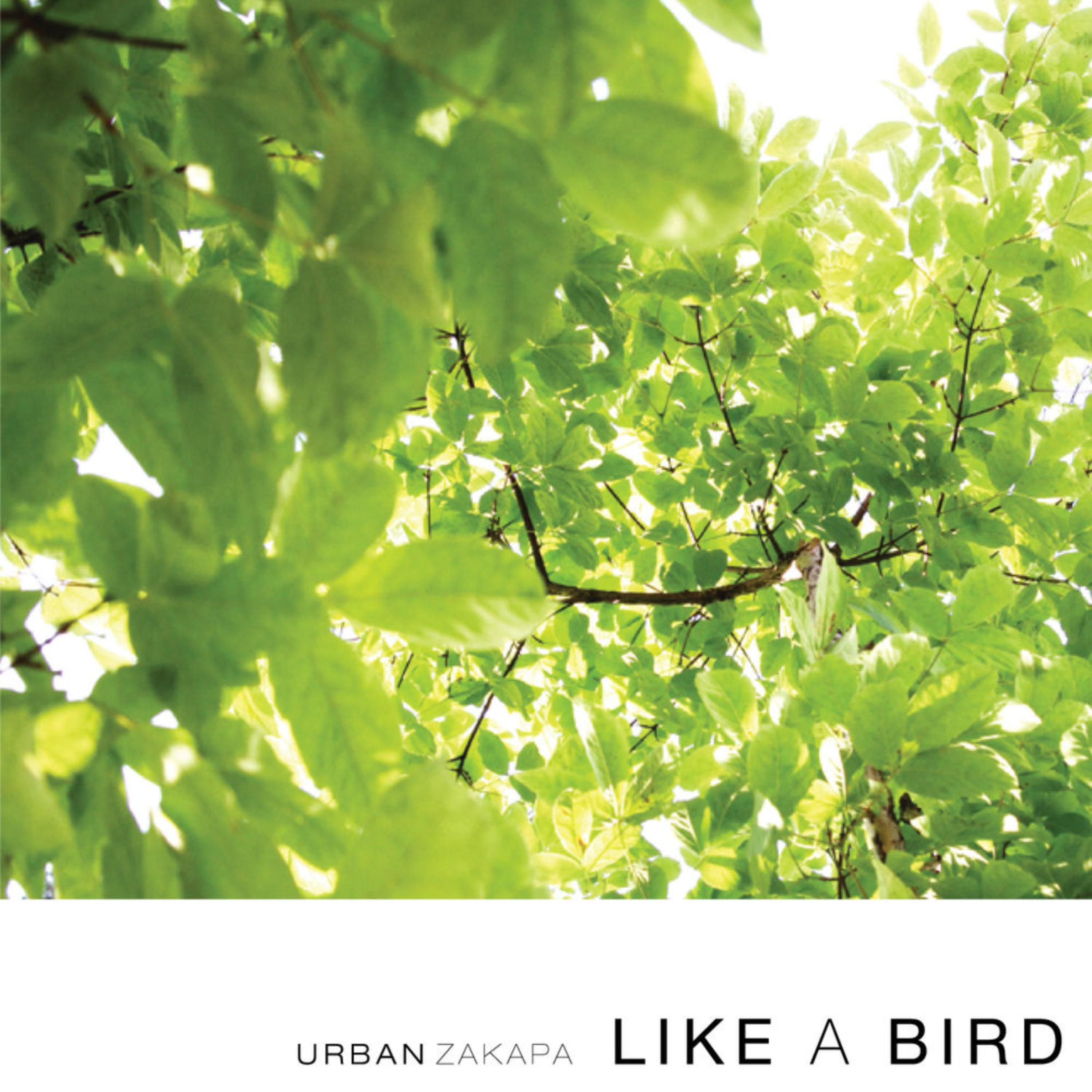 Urban Zakapa-《Like A Bird》