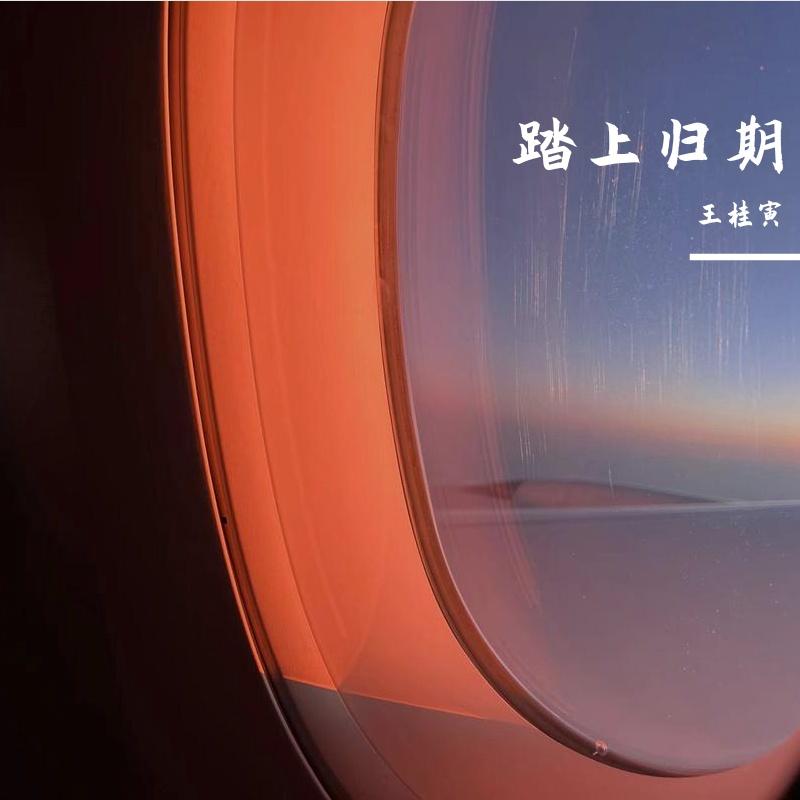 踏上归期封面