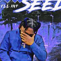YLL Ant