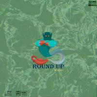 ROUND UP