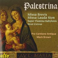 PALESTRINA, G.P. da: Masses / Motets (Pro Cantione Antiqua, Brown)