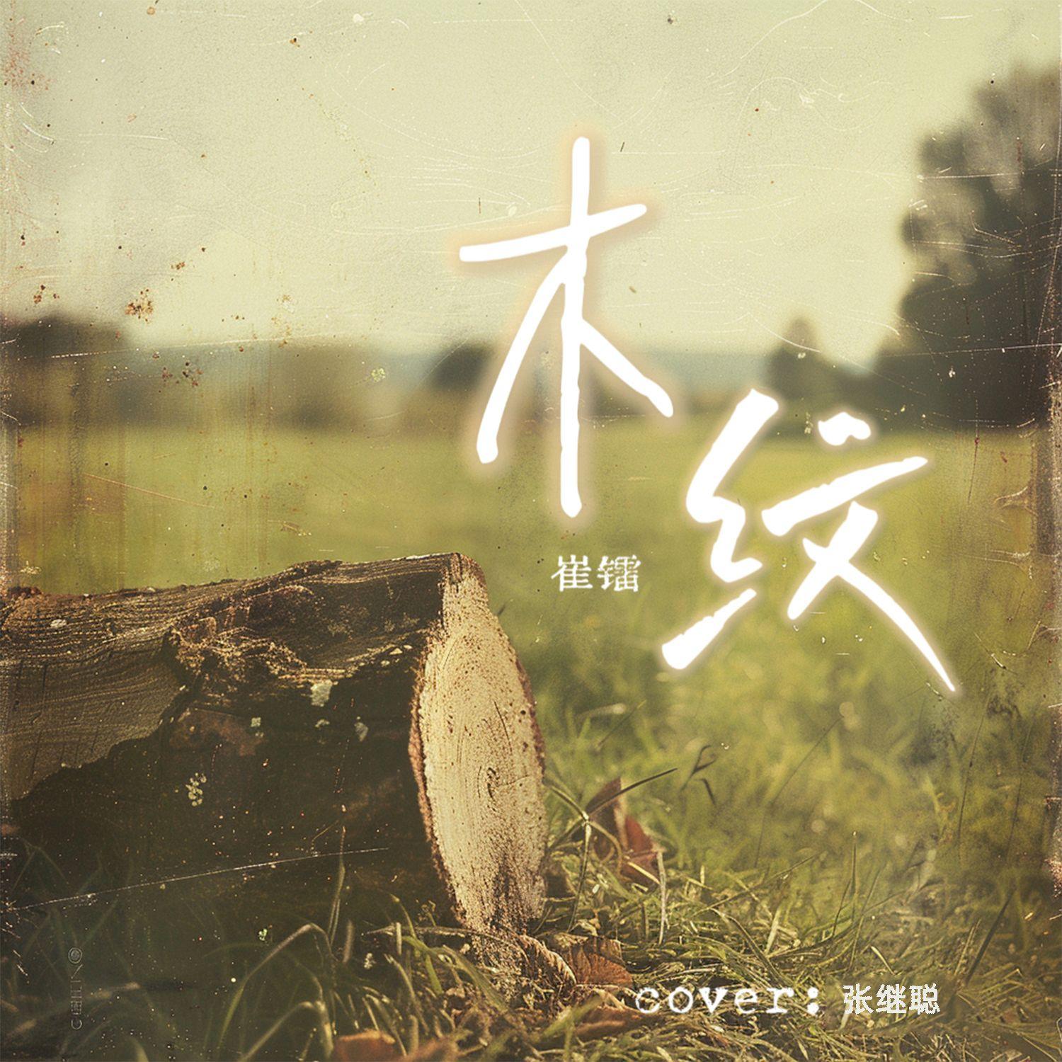 木纹（cover：张继聪）封面