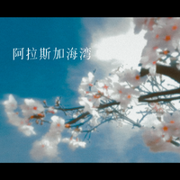 阿拉斯加海湾