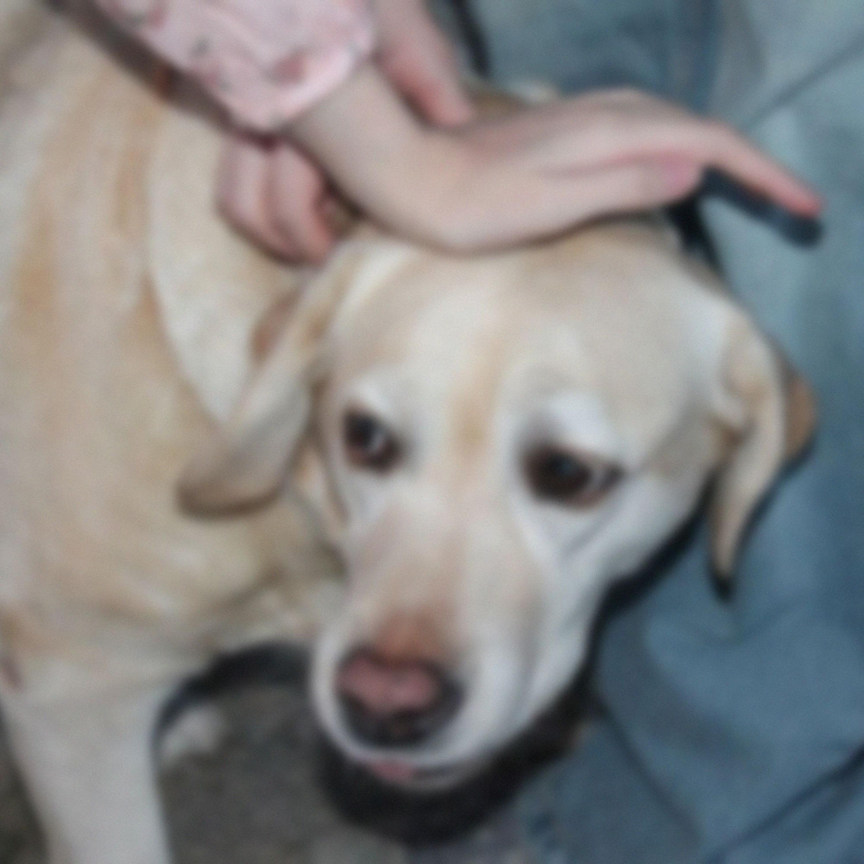 Forgetful (feat. FearDorian)