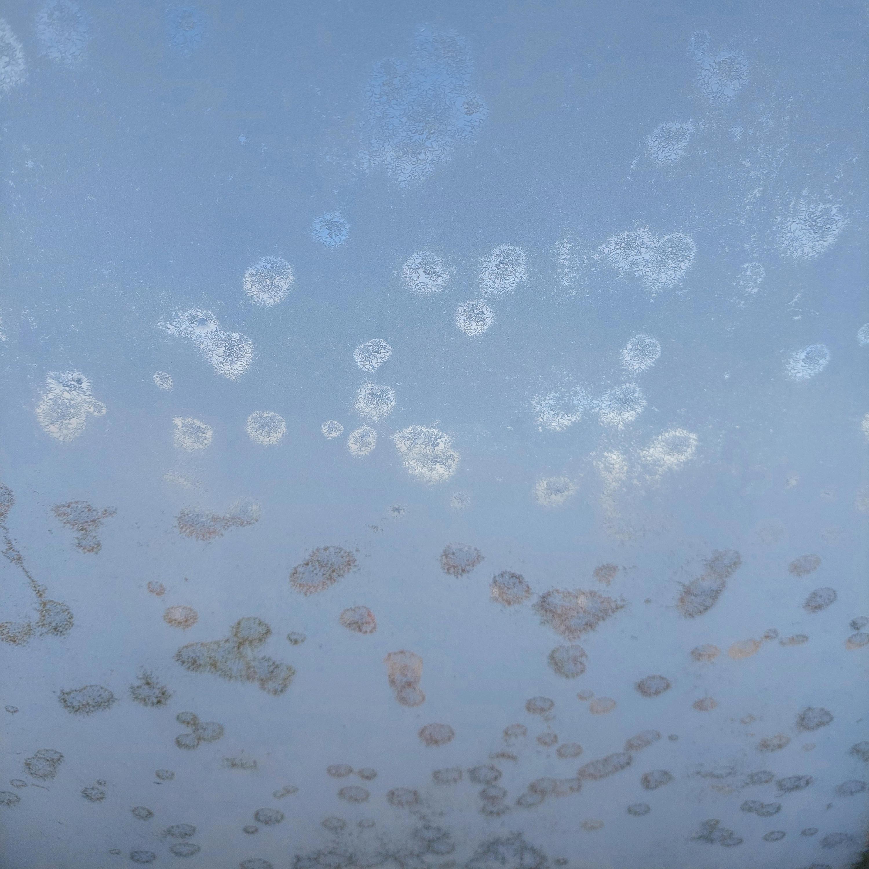 Pieśń Ajola (feat. Ewa Bukała, Karol Gronek, Adrianna Hanslik, Mateusz Jakubiec, Paulina Pytlak, Dawid Suliba & Maciej Marcin Tomaszewski)