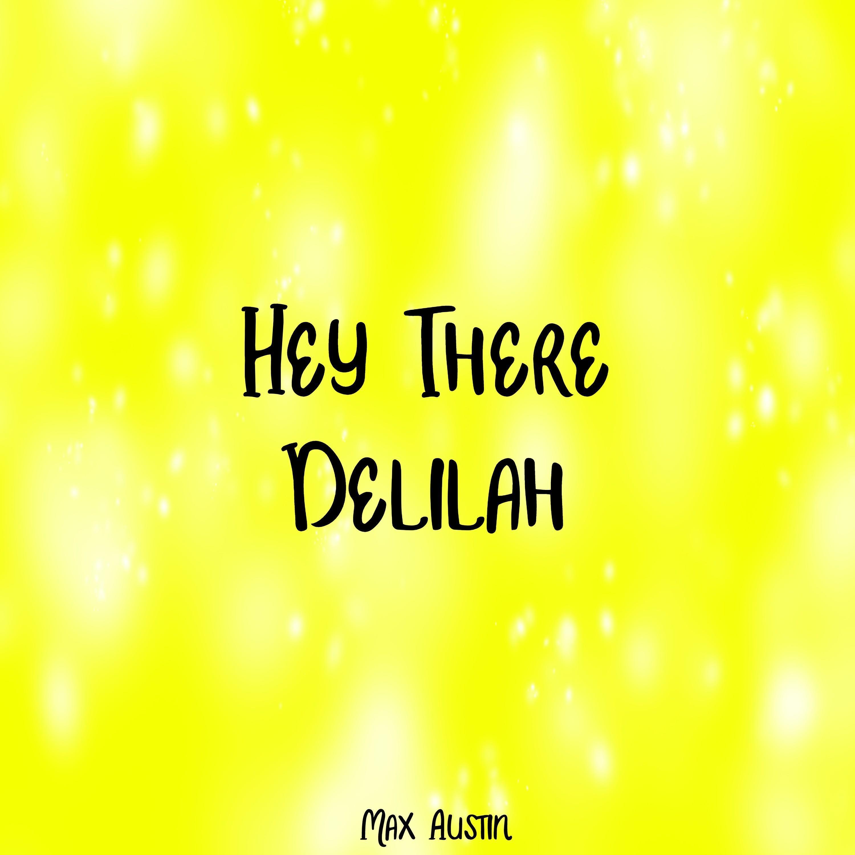 Hey There Delilah (Plain White T's)
