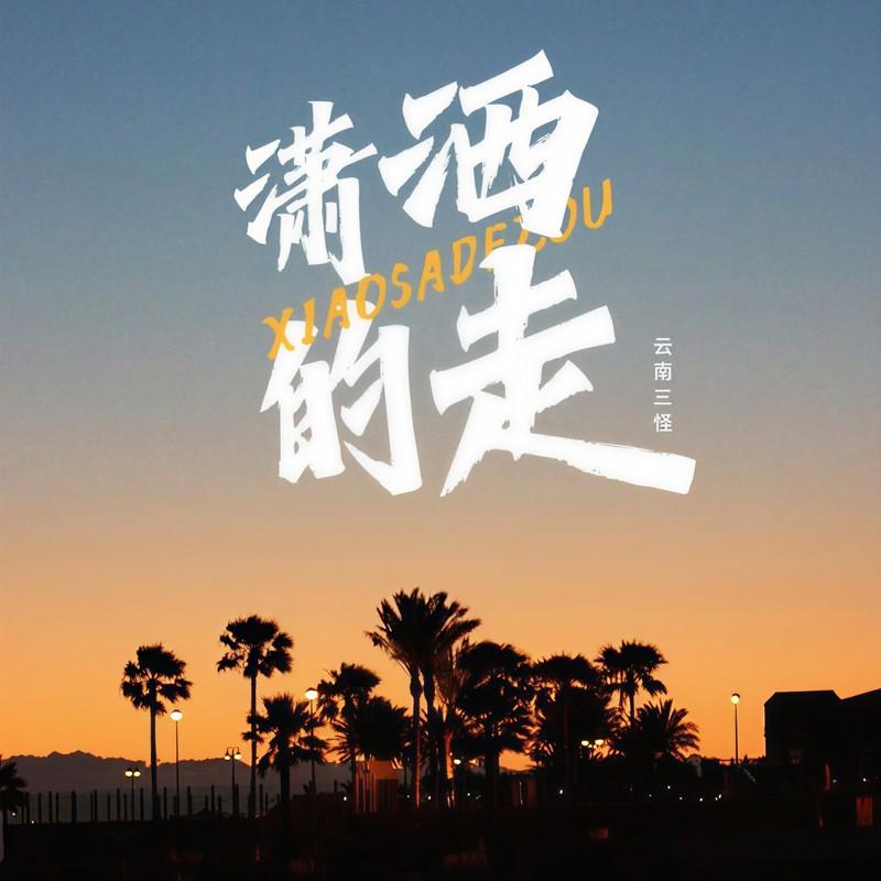 潇洒的走 (伴奏)封面