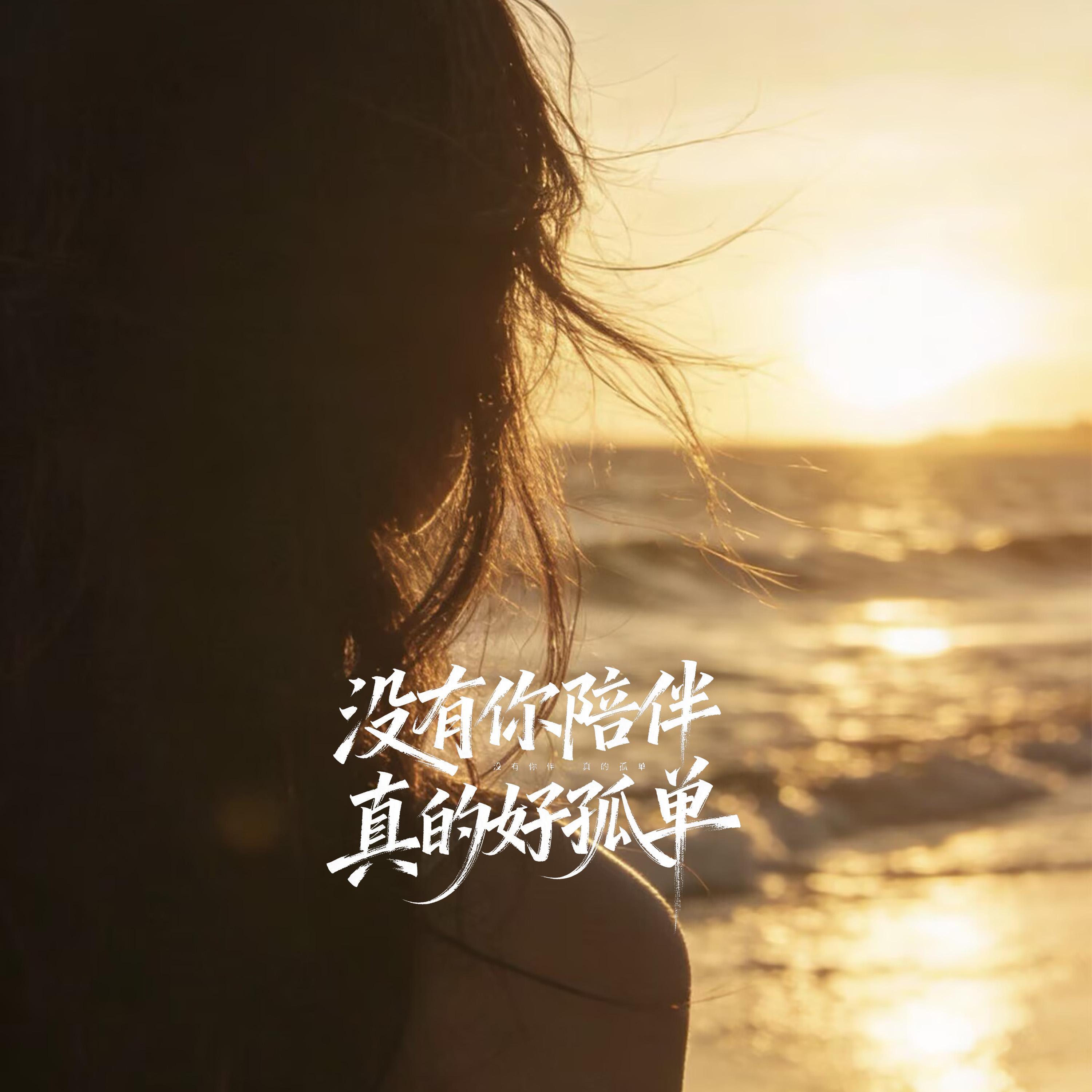 没有你陪伴真的好孤单封面