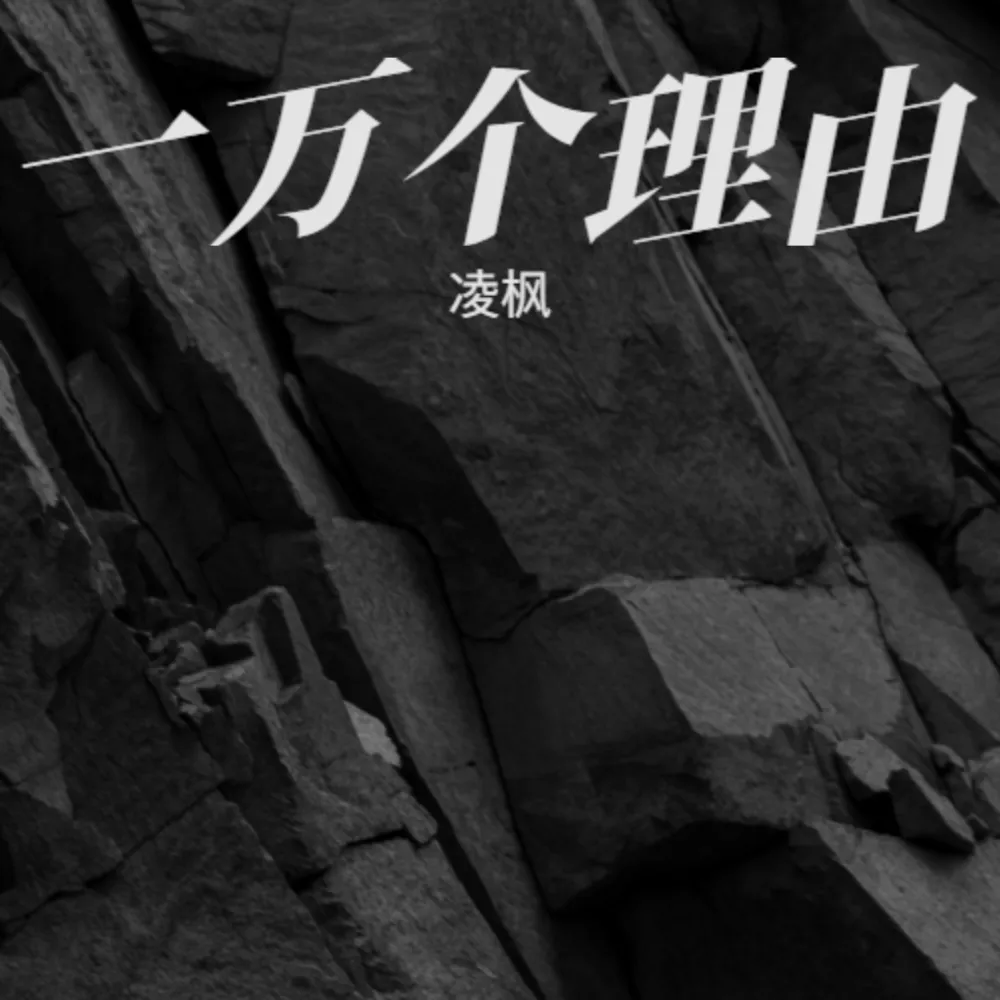 一万个理由 - 凌枫封面