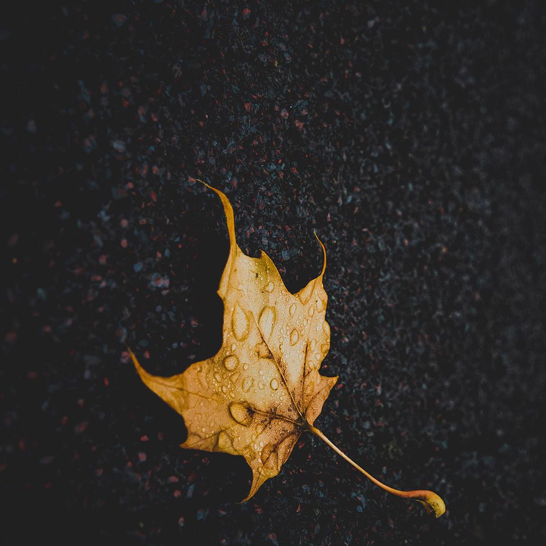 Loving Strangers - 魏小茄_Will封面