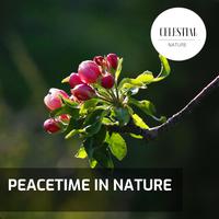 Peacetime in Nature