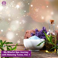 My Blissful Spa Journey with Relaxing Tunes, Vol. 1