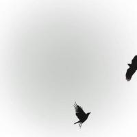 日暮渐