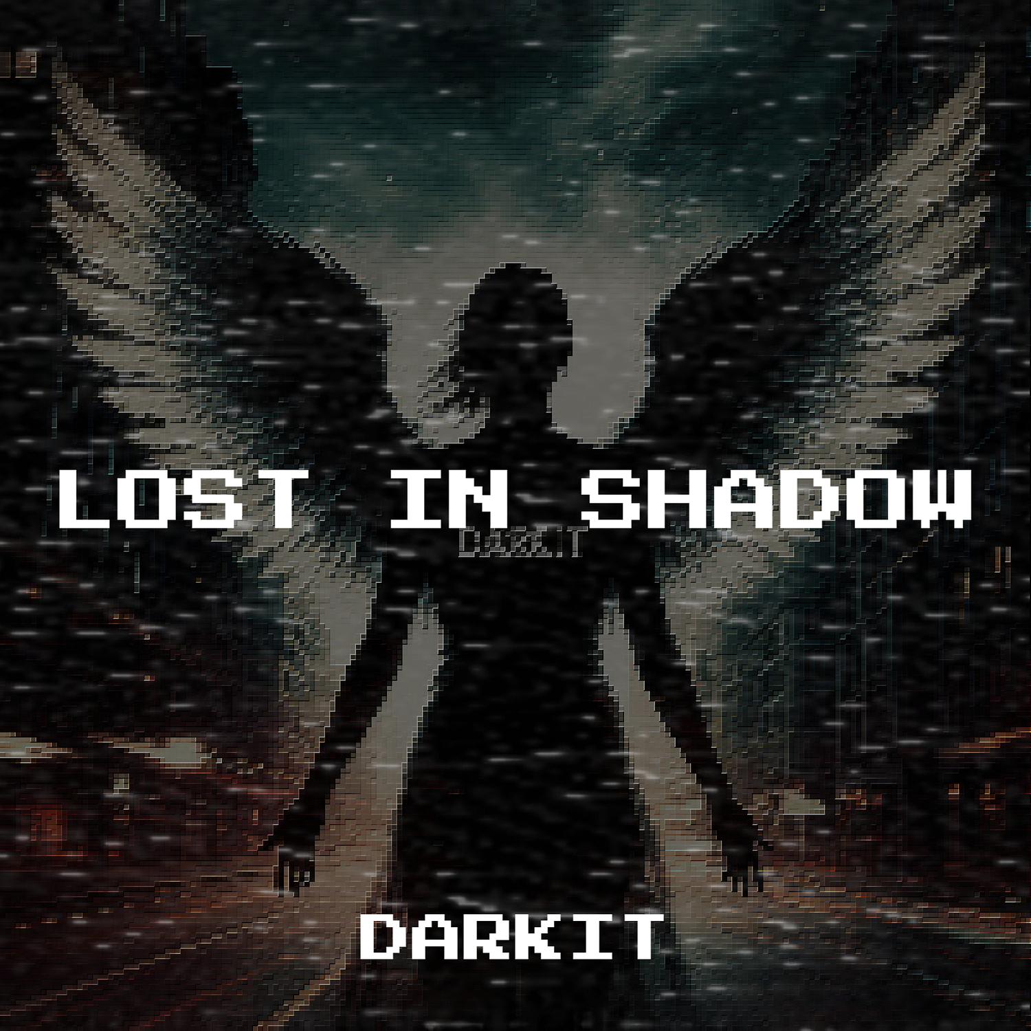 Lost in Shadow