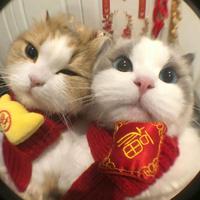 云端相见(DJ鑫鑫)