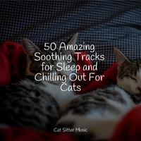 50 Amazing Soothing Tracks for Sleep and Chilling Out For Cats