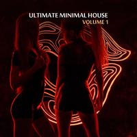 Ultimate Minimal House, Vol. 1