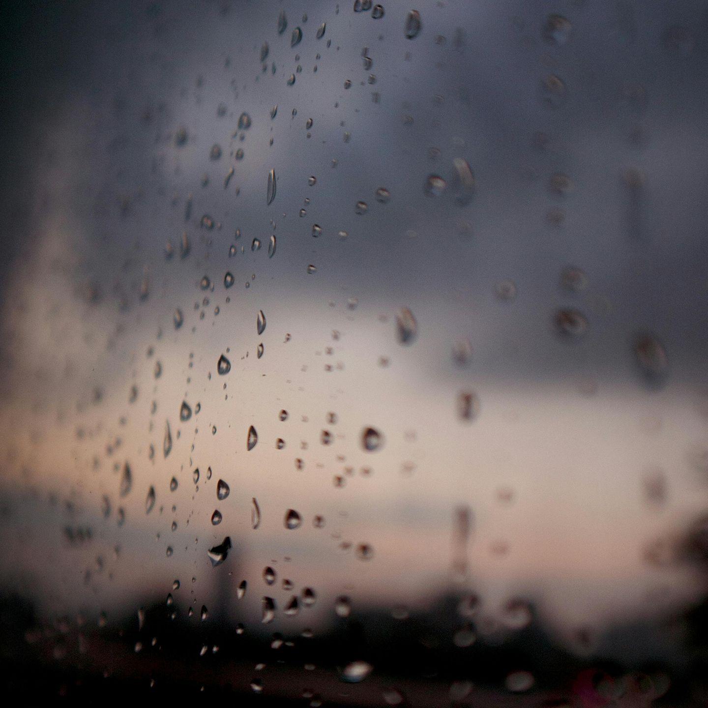 共度（《祝卿好》影视剧片头曲）